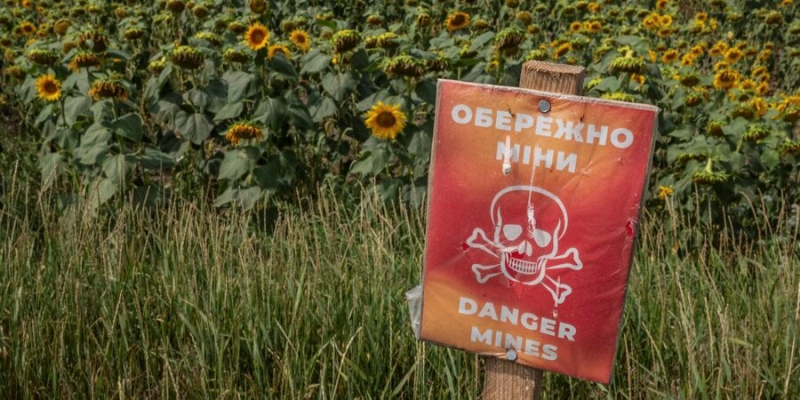20% з початку року. Вартість сільськогосподарської землі в Україні зростає