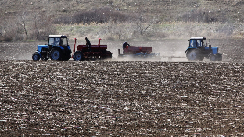 CNN: США и Европа прорабатывают маршруты поставок украинской пшеницы