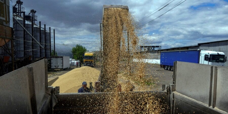 Чотири продукти, п’ять країн. Заборону на імпорт українського зерна в Європу продовжать до 15 вересня — проєкт постанови вже готовий
