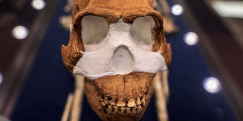 Далеко на півдні. Учені знайшли найстаріше поховання предка людини