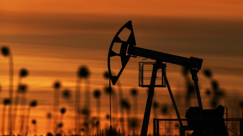 Эксперт назвал заявления ЕС об отказе от российских нефти и газа популизмом