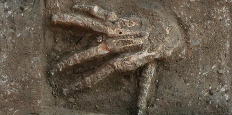 Моторошний ритуал. У Єгипті знайшли яму з відрубаними руками
