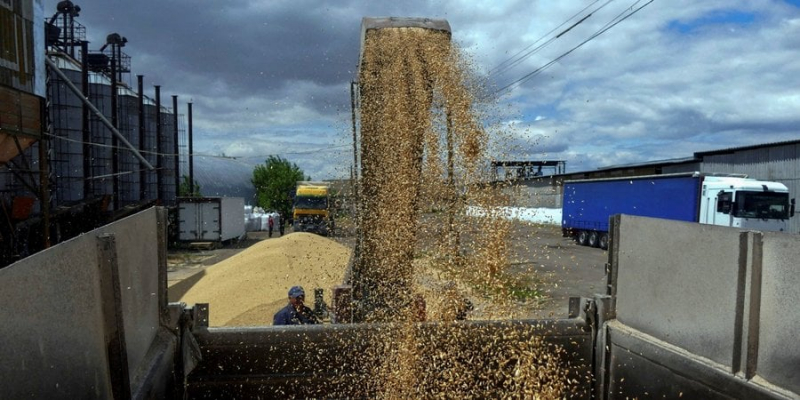 Україна побудує зерновий термінал в Нігерії