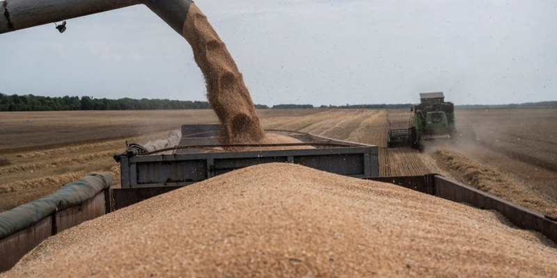 Україна подала до СОТ позови проти Польщі, Словаччини та Угорщини через заборону на імпорт зерна