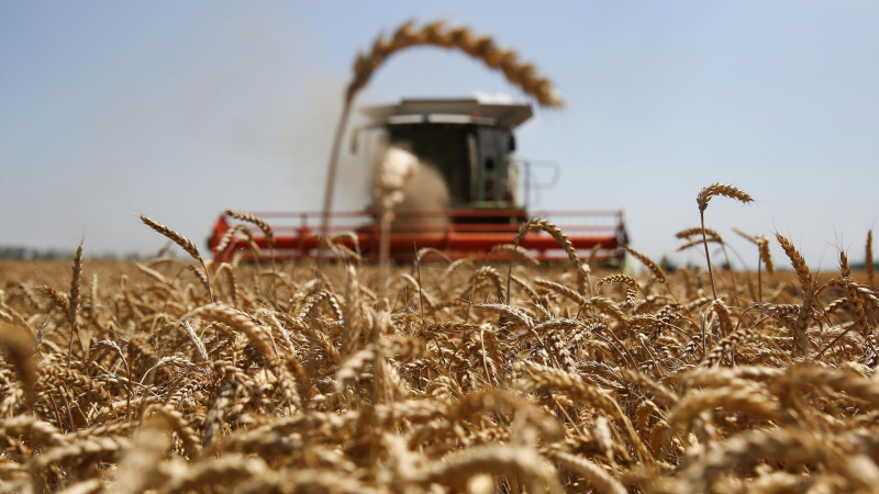Небензя: Россия готова экспортировать до конца года 25 миллионов тонн зерна